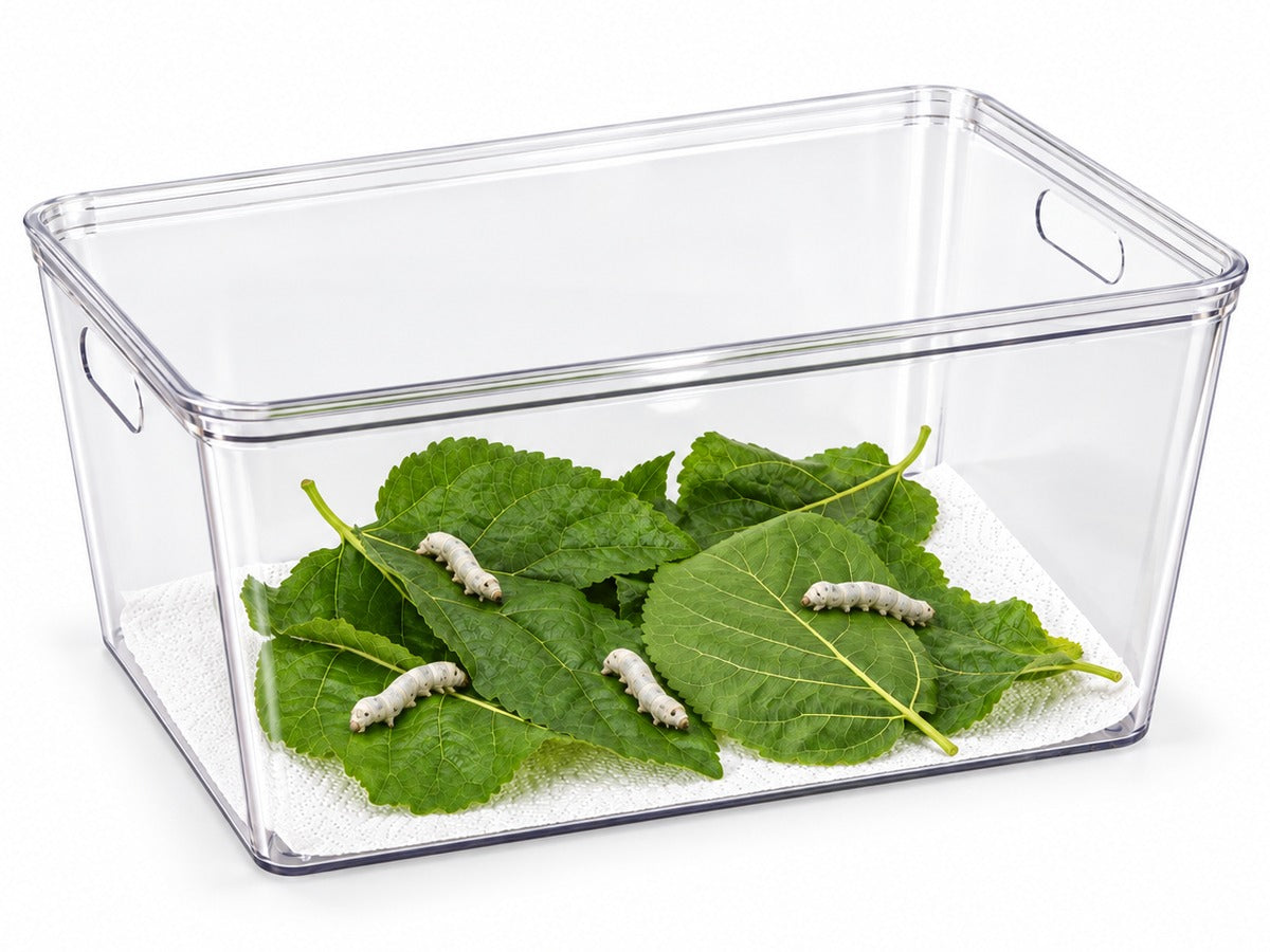 Large clear silkworm habitat