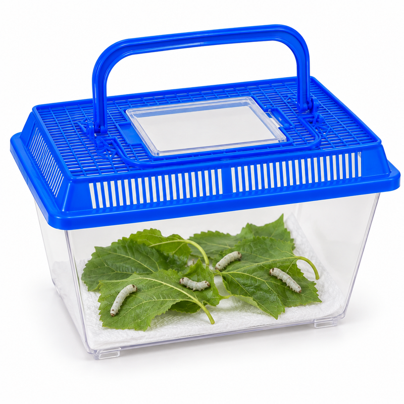 Medium Silkworm Habitat