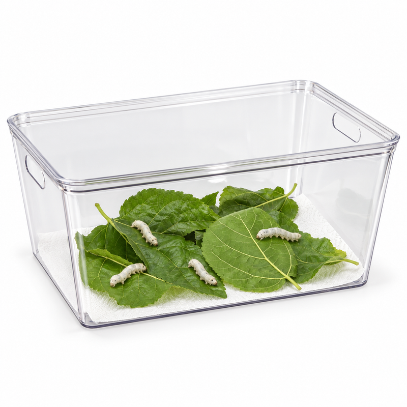 Large Silkworm Habitat