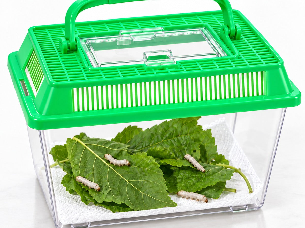 Small clear silkworm habitat